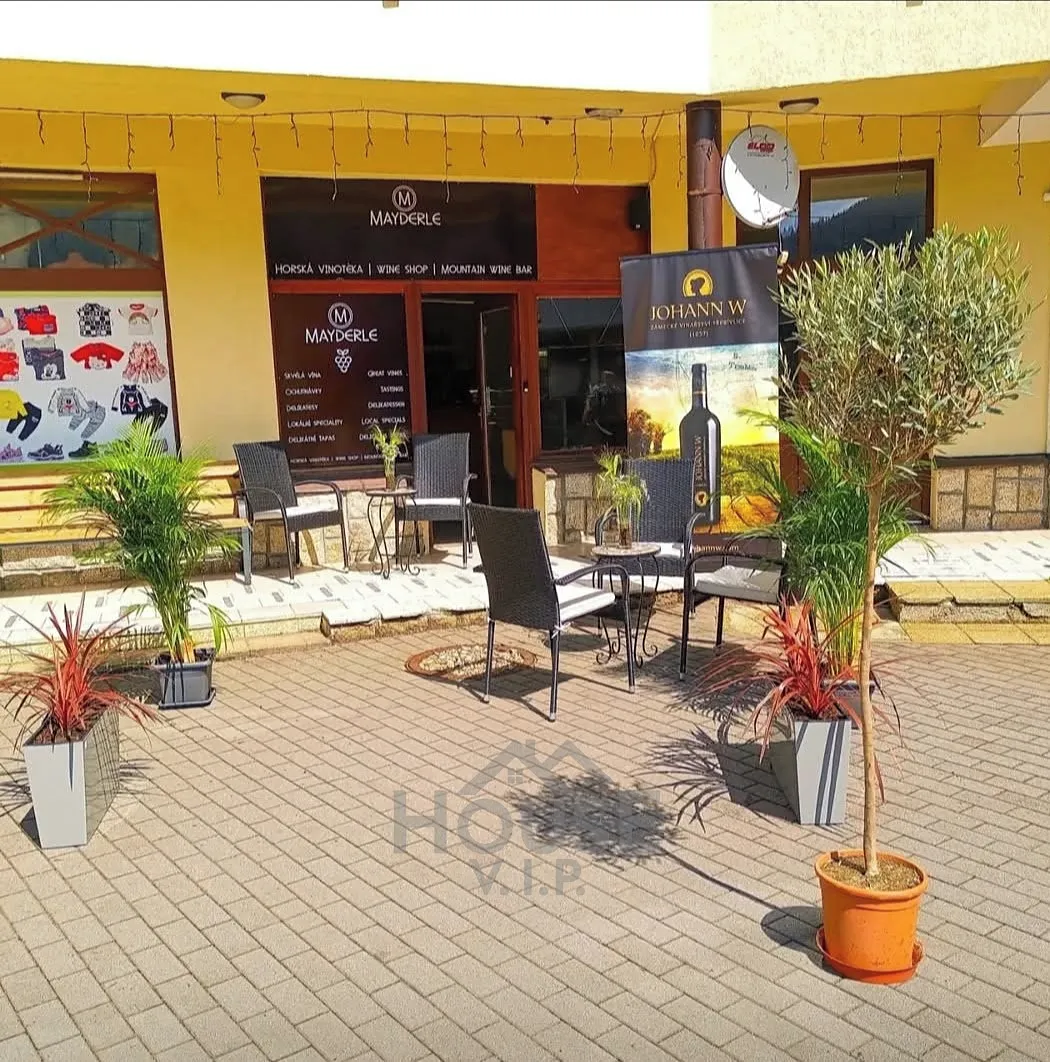 Prodej obchodního prostoru 58 m²
